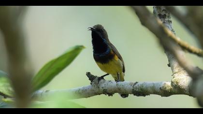 Tanımsız » Undefined » Undefined