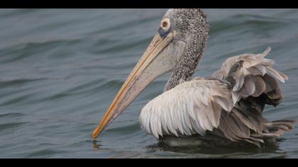 Tanımsız » Undefined » Undefined