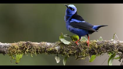 Tanımsız » Undefined » Undefined