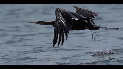 Tanımsız » Undefined » Undefined