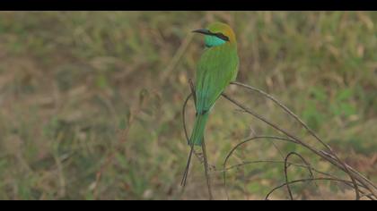 Tanımsız » Undefined » Undefined