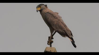 Tanımsız » Undefined » Undefined