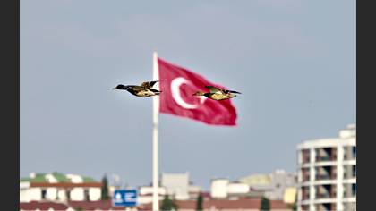 Yeşilbaş