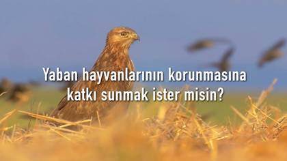 Can Yolu Uygulaması