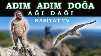 ADIM ADIM DOĞA : AĞI DAĞI