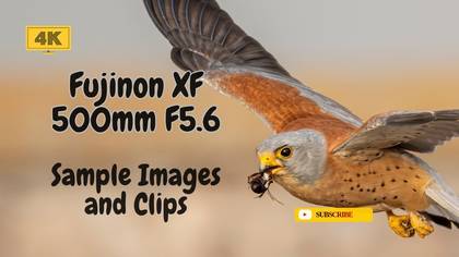 Fuji 500mm Foto ve Video