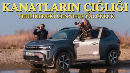 Kanatların Çığlığı