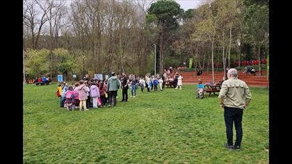 Akkanatlı toygar video